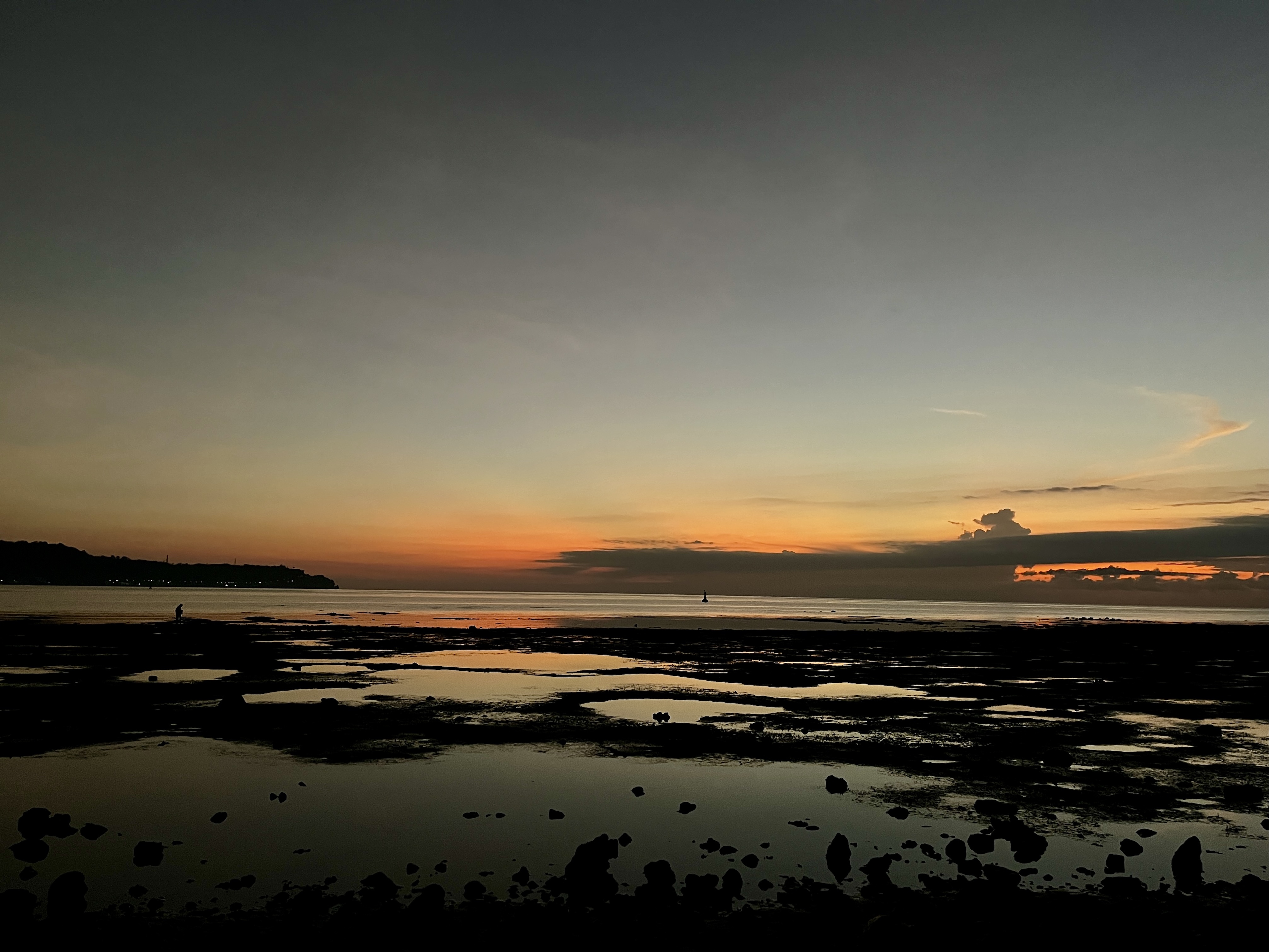 Students doing fieldwork on the intertidal zone