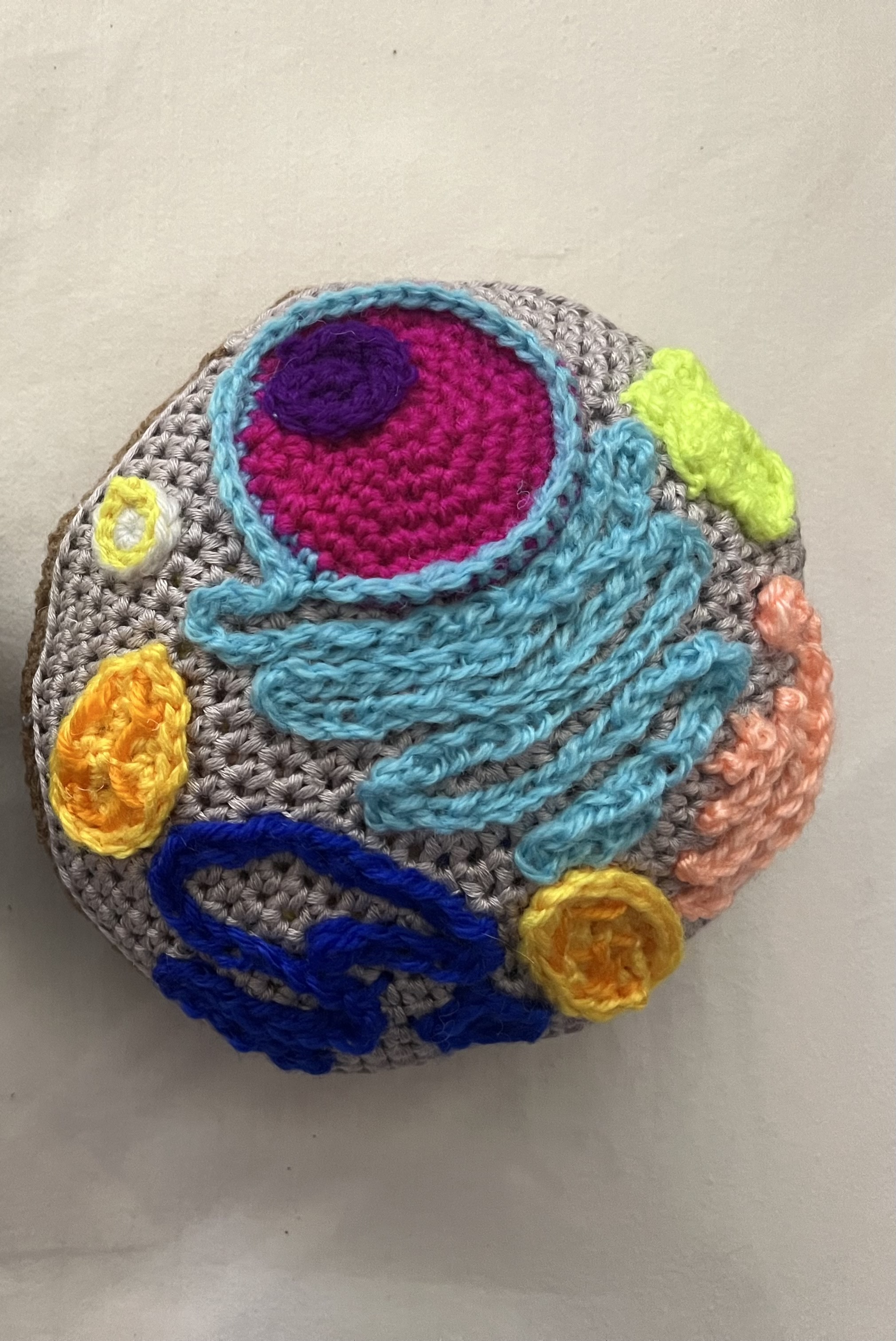 DaNae's crocheted cell model
